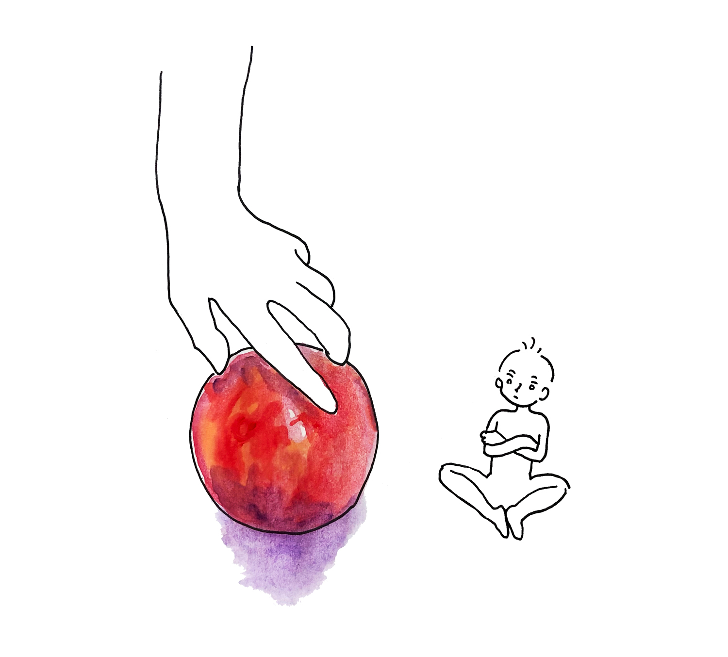 picture for the illustration of apple