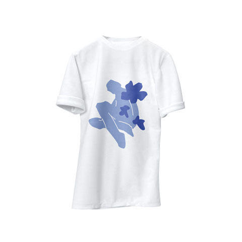 picture for the Tshirt