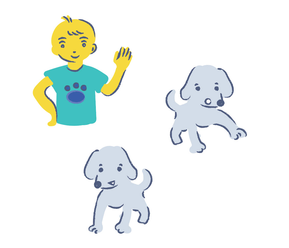 picture for the workbook illustration