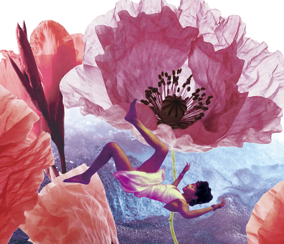 cover picture for the top project