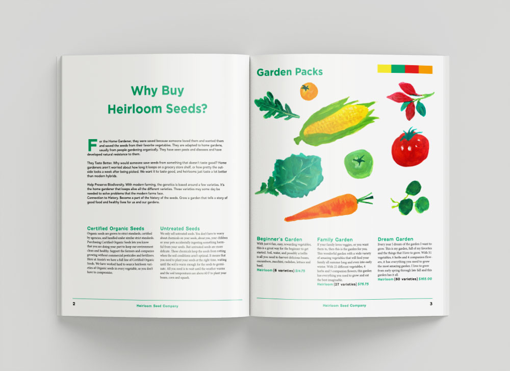 picture for the catarog p2-3